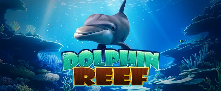 dolphin reef kiss918 introduction banner 